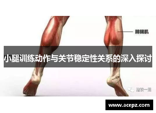 小腿训练动作与关节稳定性关系的深入探讨
